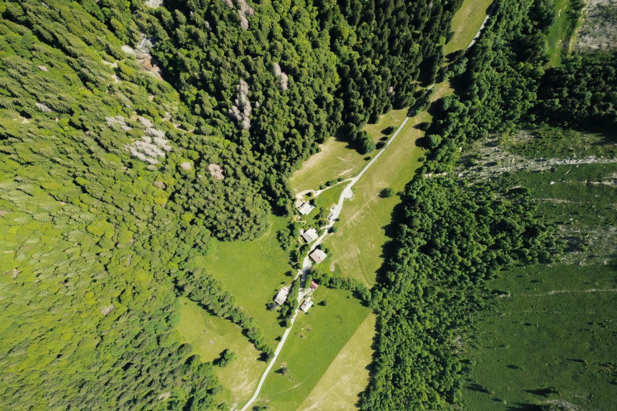 Chalet 1864 Le Grand-Bornand Dış mekan fotoğraf