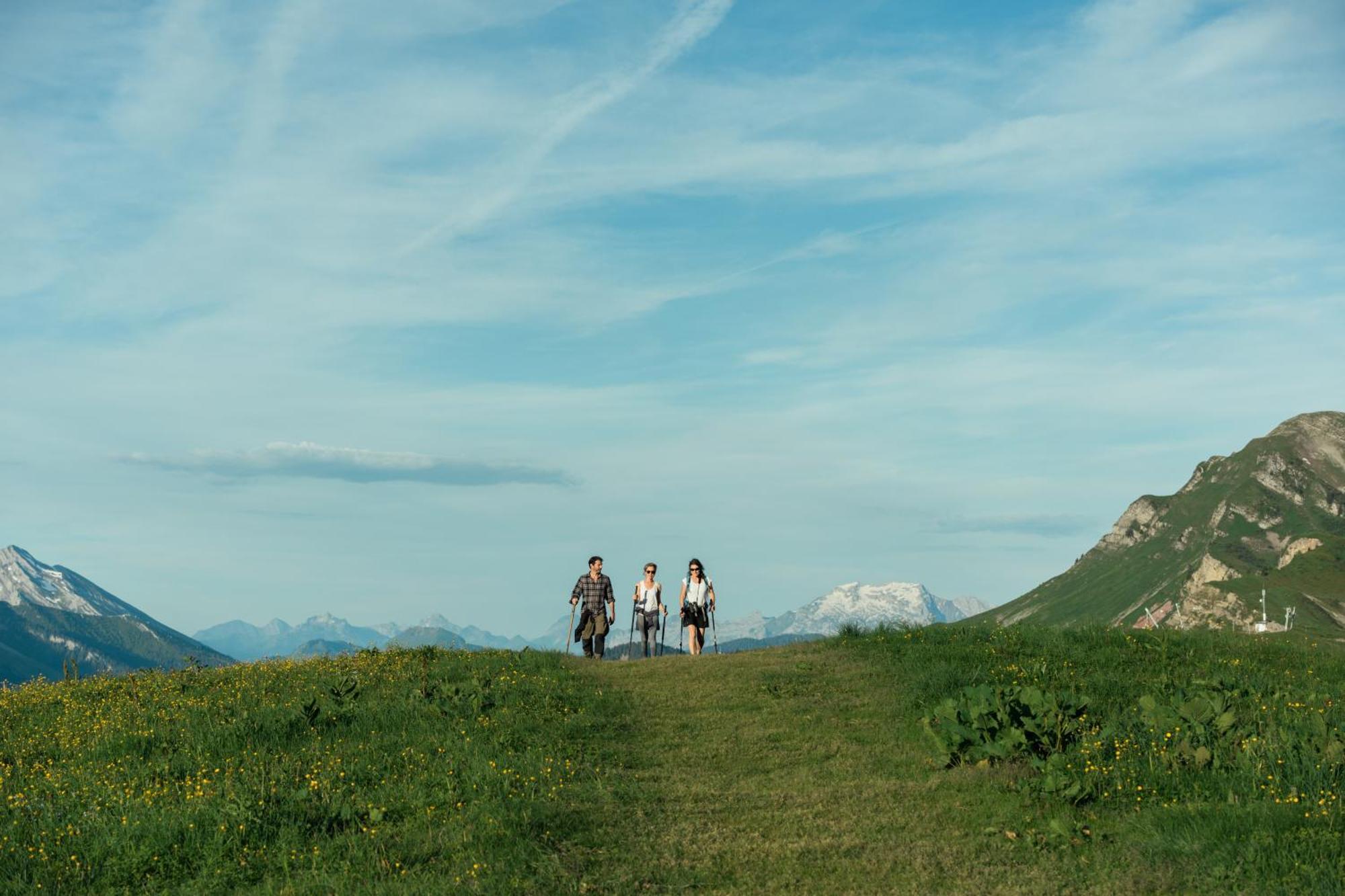 Chalet 1864 Le Grand-Bornand Dış mekan fotoğraf