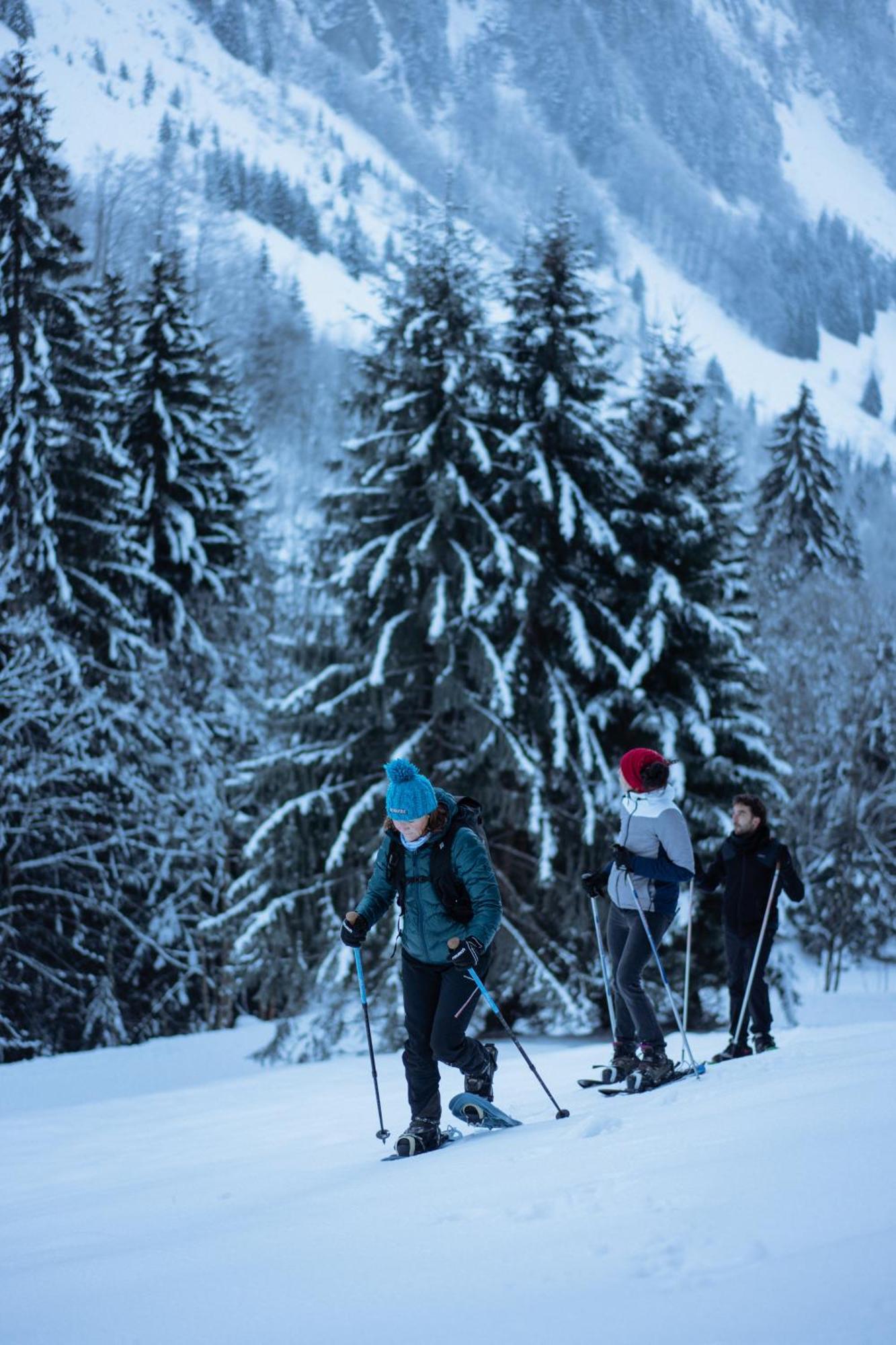Chalet 1864 Le Grand-Bornand Dış mekan fotoğraf