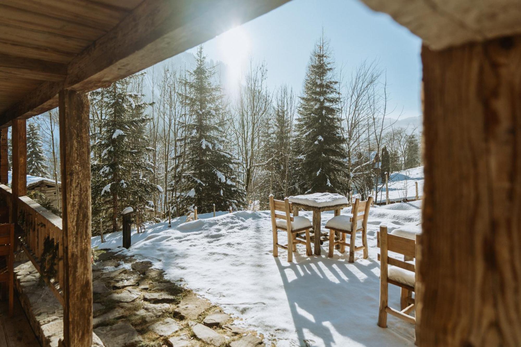 Chalet 1864 Le Grand-Bornand Dış mekan fotoğraf